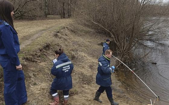 Брянская прокуратура выявила факт слива нечистот в реку Десна