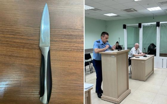 Жительница Брянска отправилась в колонию за нападение на мужчину