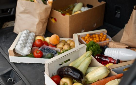 Серию хищений продуктов из брянских магазинов раскрыли стражи порядка
