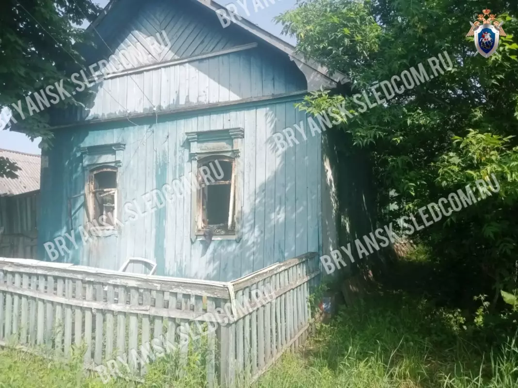 Брянские следователи выясняют обстоятельства гибели двух человек на пожаре