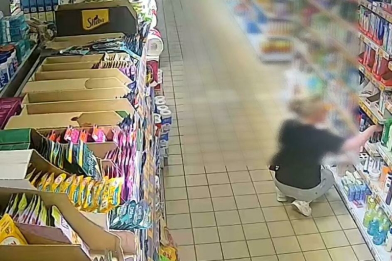 Подозреваемую в серии краж из магазинов задержали стражи порядка в Брянске