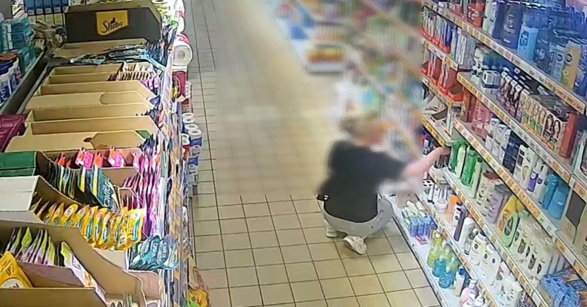 Подозреваемую в серии краж из магазинов задержали стражи порядка в Брянске