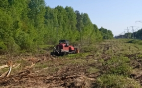 Железнодорожники освободили от сорной растительности 432 га полосы отвода в Брянской области