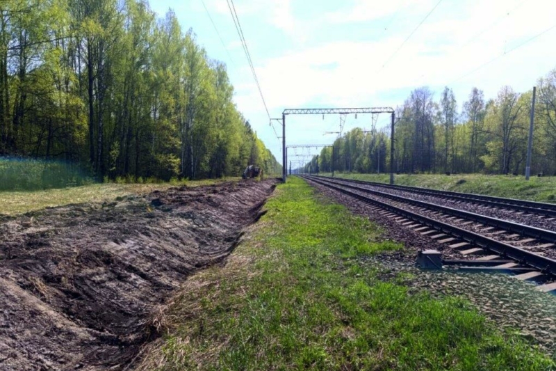 Железнодорожники освободили от сорной растительности 432 га полосы отвода в Брянской области