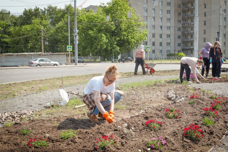На новой кольцевой развязке в Брянске высадили барбарис и гвоздики