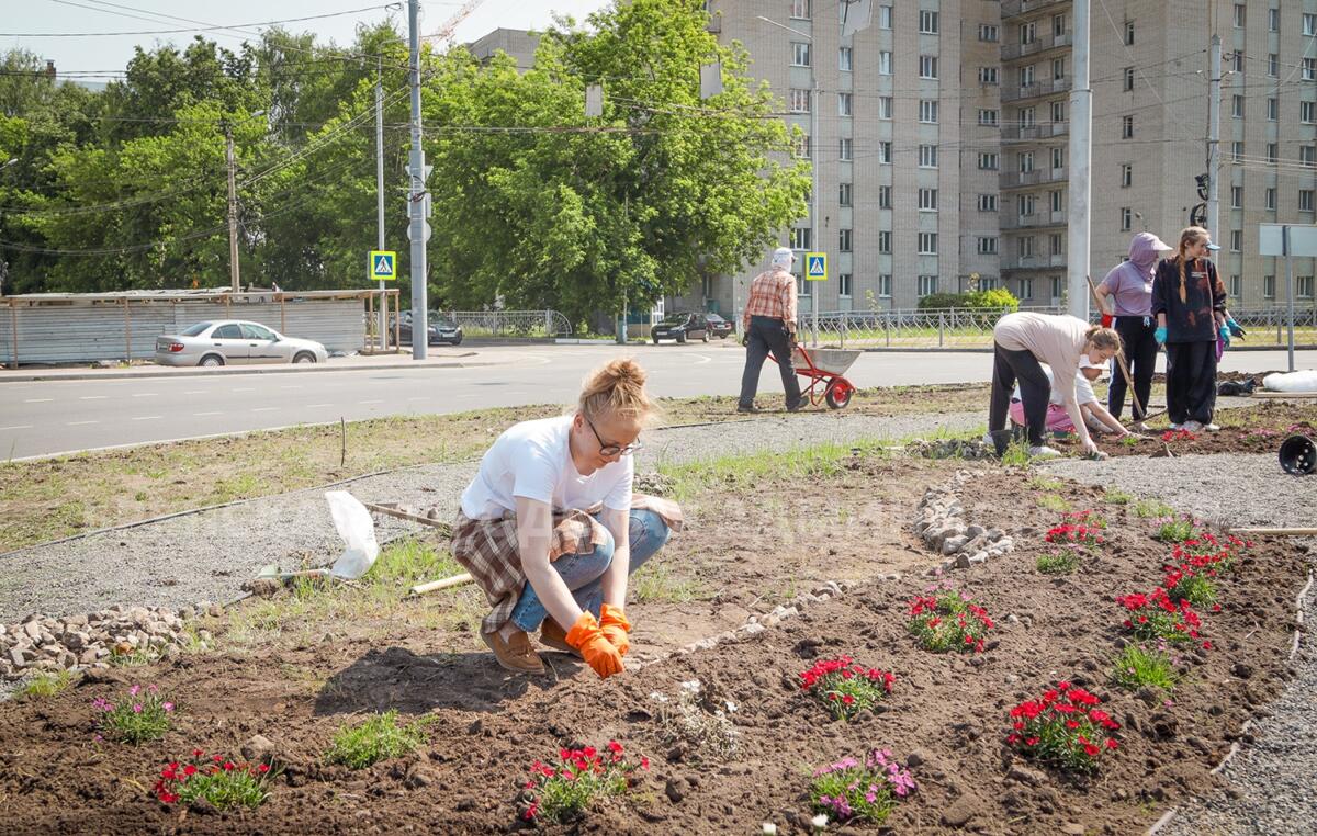 На новой кольцевой развязке в Брянске высадили барбарис и гвоздики