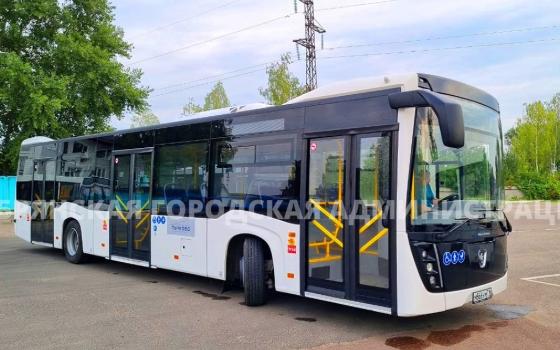 37 больших автобусов курсируют по Брянску