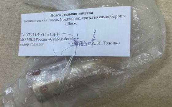 Брянский суд отправил на работу пенсионера за нападение на соседа