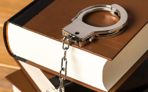 Подозреваемого в краже из строящегося дома задержали брянские правоохранители