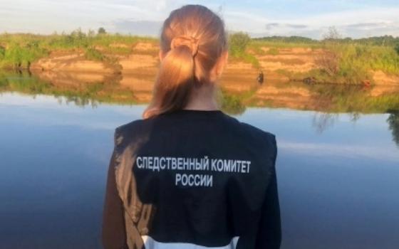 Брянские следователи возбудили уголовное дело по факту пропажи двух подростков