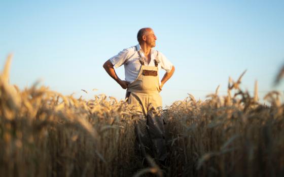 Поля под огнём: как брянские аграрии выращивают рекорды