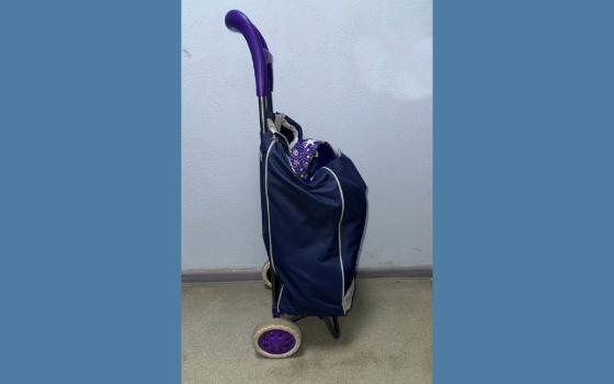 Уличный грабёж за несколько часов раскрыли полицейские в Брянске