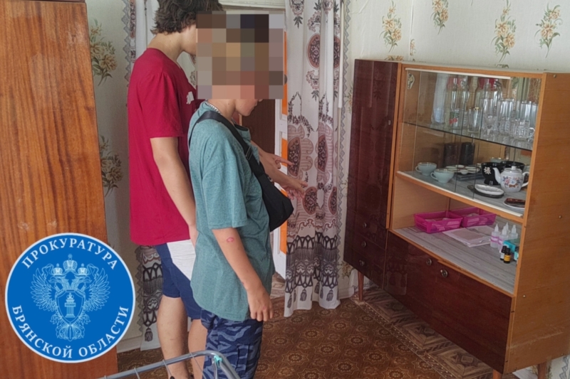 Дважды обокравший жителя брянской деревни подросток предстанет перед судом