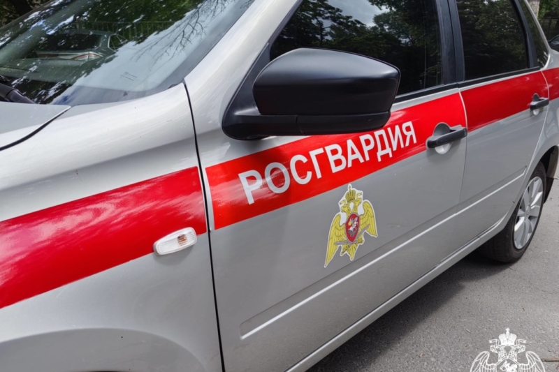 В Брянске росгвардейцы задержали вора 