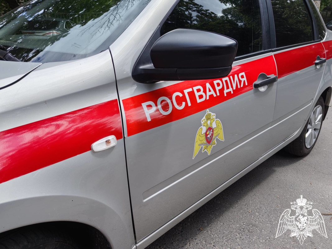 В Брянске росгвардейцы задержали вора