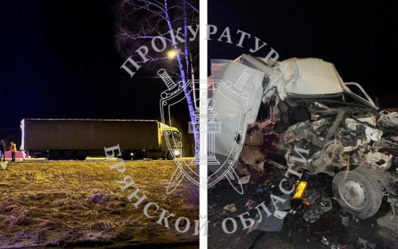 Водитель грузовика отправился в колонию за смертельную аварию в Карачевском районе
