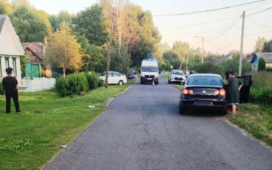 Четырёхлетнюю девочку насмерть сбила машина в Гордеевке