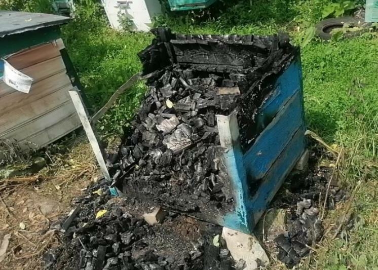 В Брянской области раскрыли ночного поджигателя пасеки
