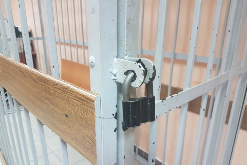 Жительницу Жуковки суд отправил в колонию за неуплату алиментов