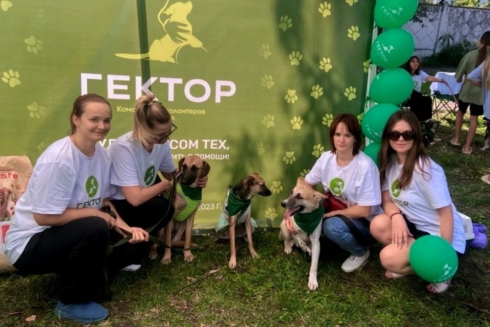 Зоофест по-брянски: город показал, что умеет любить