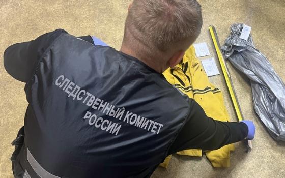 Забивший прохожего лопатой брянец предстанет перед судом