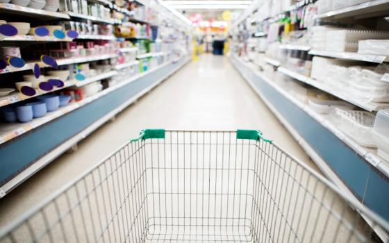 Кражу продуктов из магазина раскрыли полицейские в Брянске