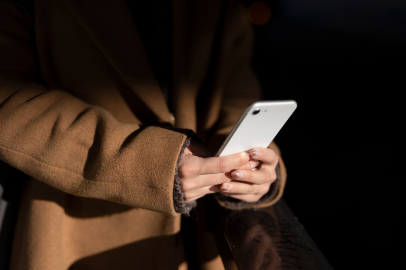 Кражу смартфона по горячим следам раскрыли брянские полицейские 