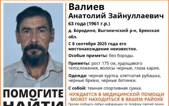 Добровольцы и полиция ищут 63-летнего мужчину в Выгоничском районе