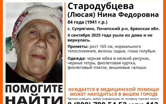 84-летняя женщина пропала в Почепском районе