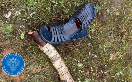 Жителя Унечи ждёт суд по обвинению в жестоком убийстве приятеля