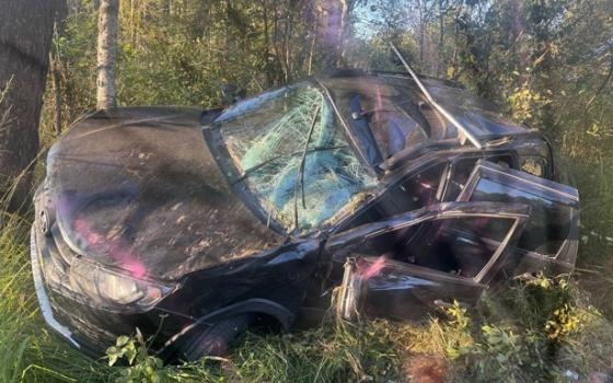 Два автомобиля столкнулись на трассе Навлинском районе