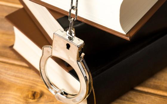 Брянские полицейские раскрыли двойную кражу товаров из магазина