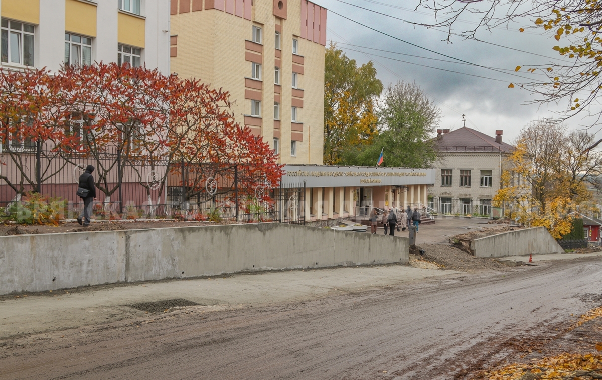 Возведение подпорной стены почти закончили рабочие на улице Горького в Брянске