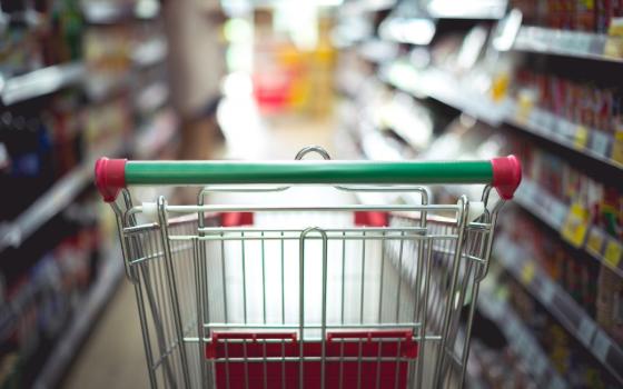 Кражу продуктовой тележки из магазина раскрыли полицейские в Брянске