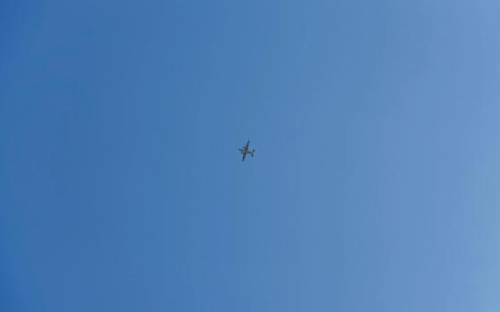 Военные уничтожили 13 БпЛА в Брянской области