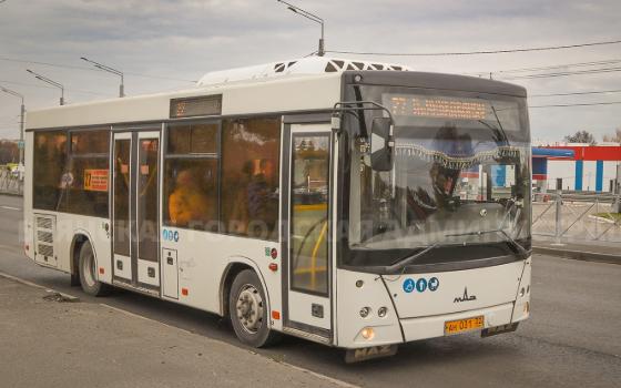 Более 27 миллионов пассажиров воспользовались автобусами в Брянске в 2025 году