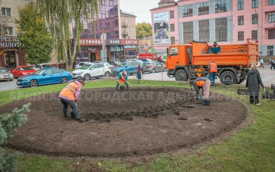 Более 105 тысяч тюльпанов высадят на клумбах в Брянске