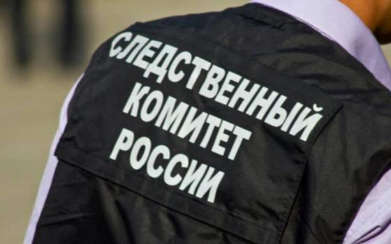 Связавший верёвками пасынка житель Клетни получил условное наказание