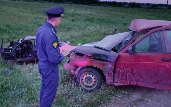 Брянский суд отправил виновного в гибели двух человек водителя в колонию