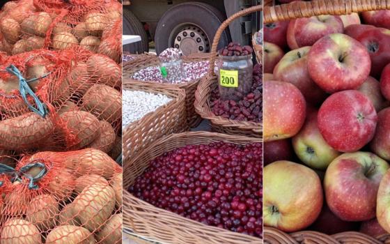 Свыше 17 000 тонн картофеля продали на ярмарках в Брянской области за полгода