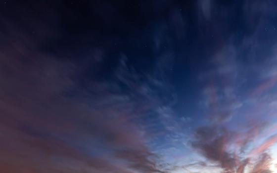 48 беспилотников сбила система ПВО над Брянщиной минувшей ночью