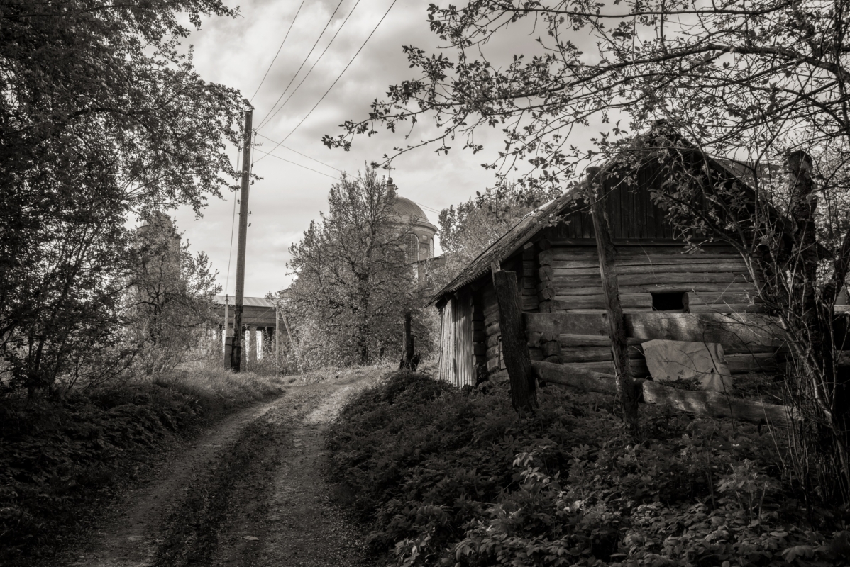 Брянские фотографы стали финалистами всероссийского конкурса