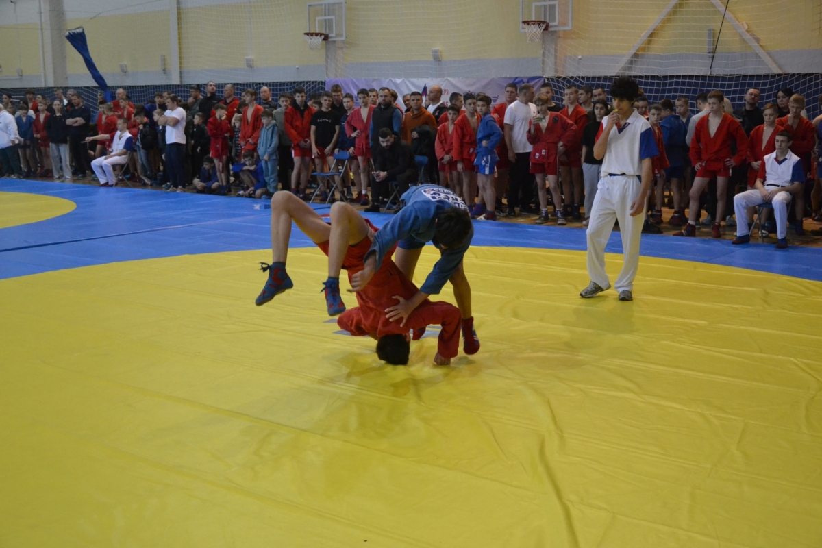 Всероссийский день самбо отметили в Брянске