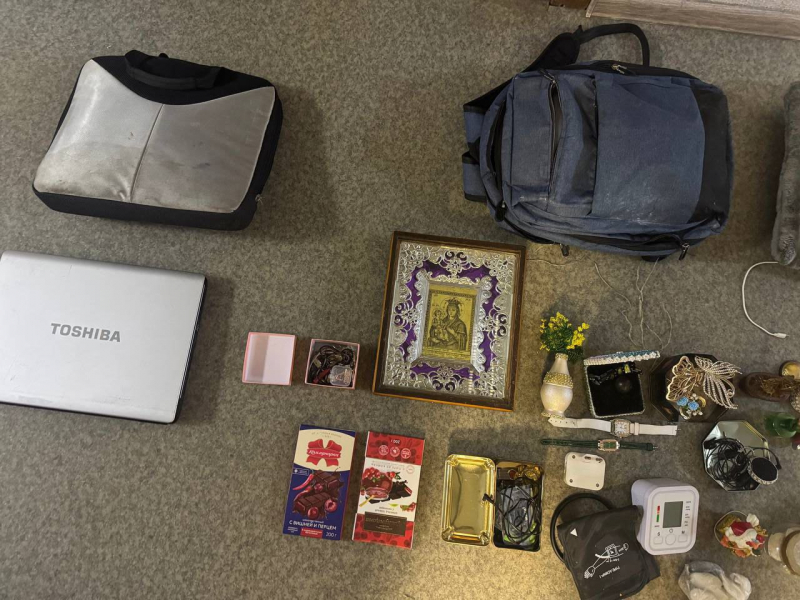 По горячим следам брянские полицейские задержали подозреваемого в краже из дома