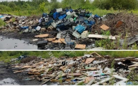 Суд обязал горадминистрацию убрать свалку в Володарском районе Брянска