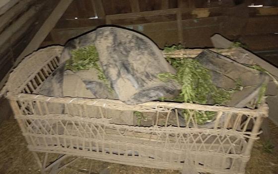 Полицейские задержали жителя Клинцовского района за хранение конопли