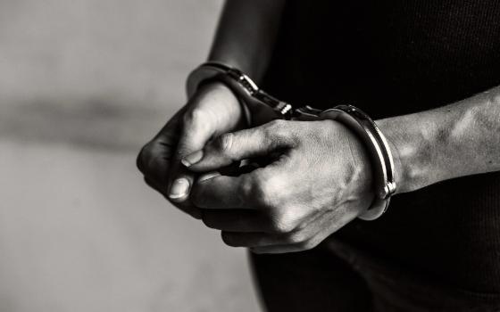 Кражу часов и еду из дома раскрыли по горячим следам брянские полицейские