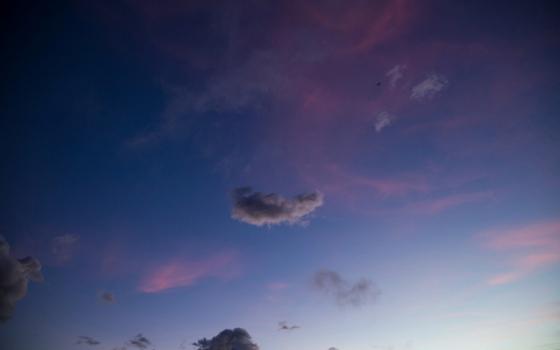 Система ПВО сбила шесть беспилотников за ночь