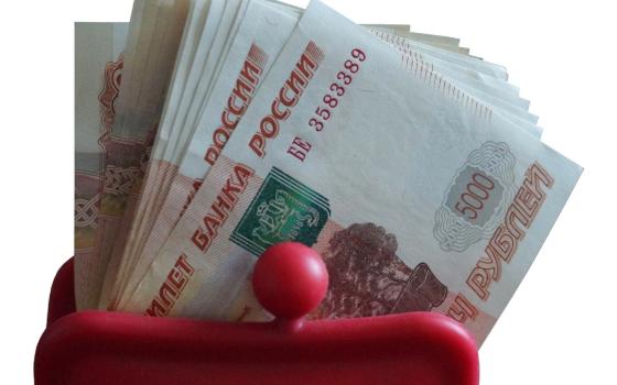 Ранее судимую жительницу Брянска подозревают в краже денег из кошелька