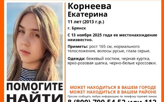 11-летняя девочка пропала в Брянске